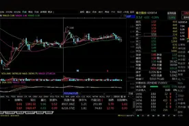 一日一股：春兰股份的一字型走势视频封面