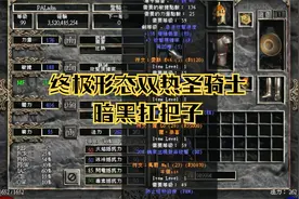 暗黑2双热圣骑士毕业装，实战效果如同切菜视频封面