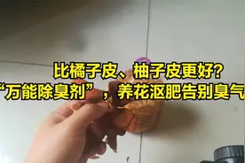 比橘子皮、柚子皮更好？“万能除臭剂”，养花必备告别臭气熏天！视频封面