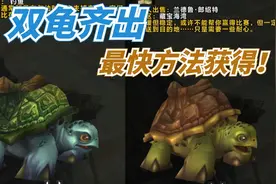 【老司机】 魔兽世界德拉诺渔夫成就，钓乌龟与海龟最快方法！视频封面