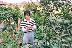 媳妇最近爱吃酸，没熟的桔子吃的面不改色，不会是怀2胎了吧？