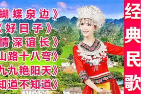 难忘的金曲【经典民歌】精选，民族精华，美妙好听，百听不厌！视频封面
