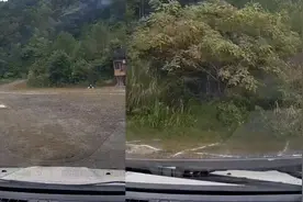 女子抄近路绕前方车辆，没及时刹车差点撞山网友傻眼：马路杀手？视频封面