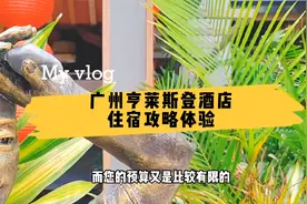 广州亨来斯登酒店，一家性价比超高的温泉度假，来从化绝不能错过视频封面