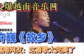许巍深情演唱《故乡》火爆越南音乐网，越南网友：这首歌太完美了视频封面