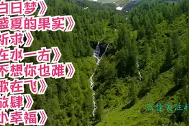 白日梦、 盛夏的果实、 祈求、 在水一方、 不想你也难、 歌在飞视频封面