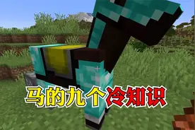 我的世界：关于“马”的九个冷知识，金苹果回血居然没干草块多？
