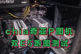 chia奇亚P图机，帮杭州网友装机测试双CPU跑图，稳定并行14图以上视频封面