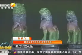 陕西考古新发现！长安区出土极为珍贵耀州窑青釉瓷器|都市快报视频封面