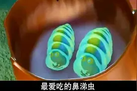 熊出没：熊大认出光头强假扮狗熊，请他吃树皮和鼻涕虫，好恶心啊视频封面