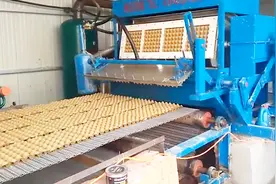 废纸箱回收后是如何再利用的，视频解开我多年疑惑