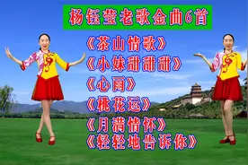 杨钰莹歌曲精选：《茶山情歌》《甜甜的小妹》《心雨》《桃花运》视频封面