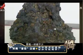 传奇：大师8000块换了千亿宝物，一块神秘奇石，价值连城？视频封面