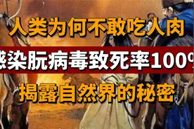 人类为何不敢吃人肉?感染朊病毒致死率100%，揭露自然界的秘密视频封面