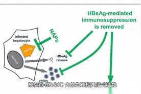 乙肝在研新药REP 2139，抑制HBsAg分泌，作用机理继续得到证明视频封面