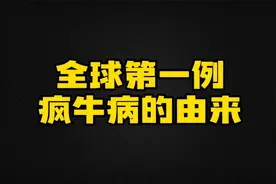 帝师：全球第一例疯牛病是怎么来的？喝奶一定要看产地视频封面
