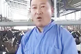 全自动转盘式挤奶机，一小时能挤近240头奶牛，是人工的一百多倍