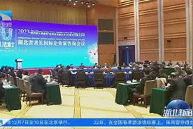 王忠林出席世界500强对话湖北圆桌会议 共享机遇共谋发展共赢未来视频封面