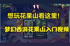 想玩花果山看这里！花果山入门手册。梦幻西游花果山力猴子入门。
