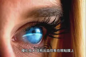 侦探学习手册视频封面