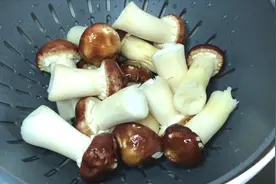 新鲜姬松茸 制作两道美味 姬松茸猪骨汤 香煎姬松茸 好吃又有营养视频封面