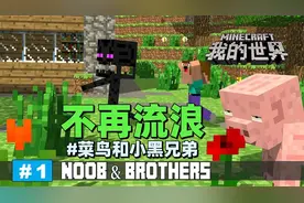 MC动画菜鸟和小黑系列《不再流浪》：流浪的菜鸟和小黑被女巫收留视频封面