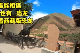 沧海桑田 西藏版恐龙遗址 带你了解青藏高原的 前世今生视频封面