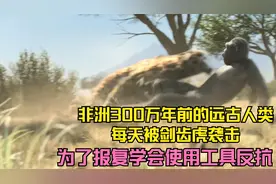 非洲300万年前远古人类每天遭受剑齿虎的袭击，学会使用工具报复视频封面