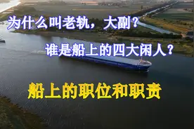 为什么叫老轨，大副？谁是船上的四大闲人？船上的职务和职责视频封面