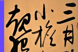 子规夜半犹啼血，不信东风唤不回。草书作品，代表我最高水平视频封面