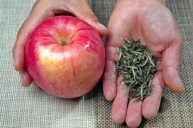 一颗苹果一把茶叶，教你一个新吃法，很多人都没听过，长见识了