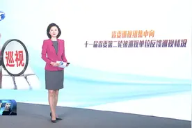 省委巡视组集中向十一届省委第二轮被巡视单位反馈巡视情况（三）视频封面