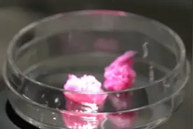 日本成功3D打印和牛肉，制造一立方厘米需4周，每克成本570元视频封面