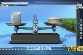 目前人工合成淀粉从产量上能达到怎样的程度？来看|透视新科技视频封面