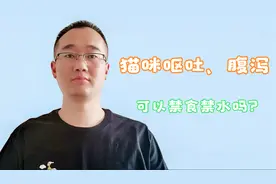 猫咪呕吐、腹泻，禁食禁水这个方法主人别乱用，它的肝脏受不了视频封面