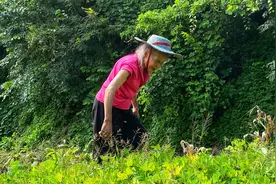走近81岁老道长的生活日常：每天除了打钟念经，看她还要做些什么视频封面