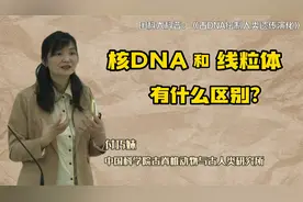 付巧妹：核DNA和线粒体有什么区别？视频封面