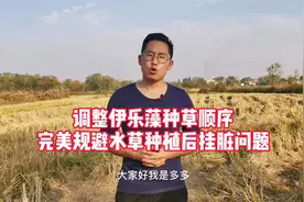 改变一下伊乐藻的种植顺序，就可以巧妙解决水草挂脏问题视频封面