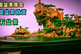沭阳盆景展会盆景，一组3盆金奖山石盆景，峰峦叠嶂美轮美奂视频封面