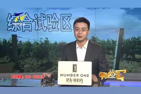 【阳光资讯】综合试验区为宁夏“紫色名片”带来无限可能视频封面