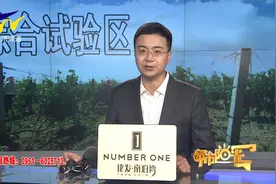 【阳光资讯】综合试验区为宁夏“紫色名片”带来无限可能视频封面