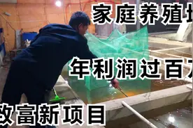 养殖致富新项目，占地面积小，在家就能养，投资小效益高，了解下视频封面