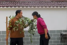 农村生活虽然有苦，但也有甜，学会苦中作乐，也是一种幸福视频封面