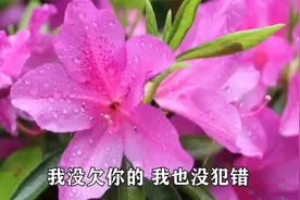 郭力一首伤感歌《对你犯了错》唱的如此伤心，听哭了多少痴情人！视频封面