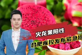 火龙果阳性！合肥疾控发布紧急提醒视频封面