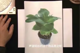 居家风水开运课第19课：阳台风水分析视频封面