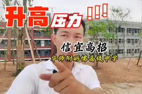 茂名、信宜、升高中招生规划公布，人数大减 #同城热门视频封面