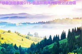 超乎想象顶级享受DTS·极品环绕声汽车音效试音碟视频封面