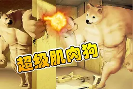 超级肌肉狗：我被柴犬狗子，一拳打飞了十米远！炯囧侠解说视频封面
