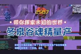 魔兽怀旧服-冬泉谷物资之魂精系列量产方法视频封面